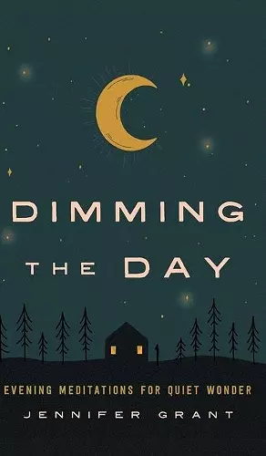 Dimming the Day cover