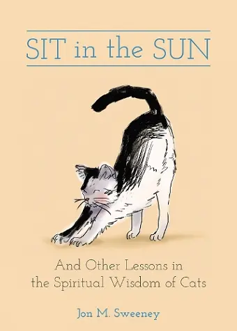 Sit in the Sun cover