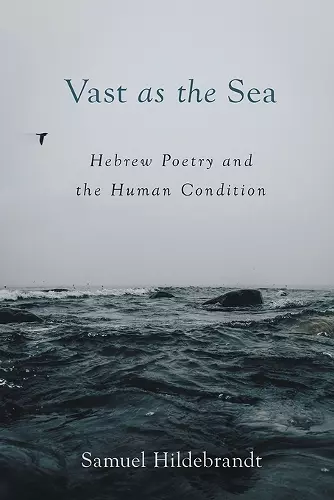 Vast as the Sea cover