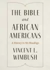 The Bible and African Americans cover