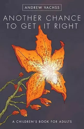 Another Chance to Get it Right cover