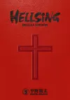 Hellsing Deluxe Volume 3 cover