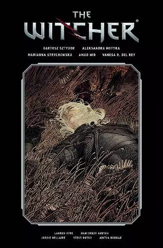 The Witcher Library Edition Volume 2 cover