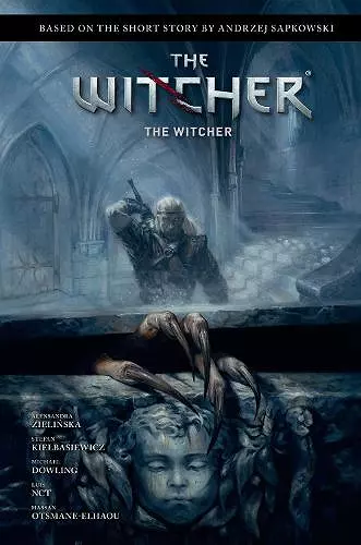 Andrzej Sapkowski's The Witcher: The Witcher cover