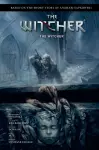 Andrzej Sapkowski's The Witcher: The Witcher cover