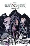The Witcher Volume 11: Blood Stone cover