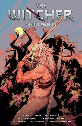 The Witcher Omnibus Volume 3 cover