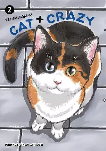 Cat + Crazy Volume 2 cover