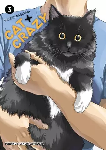 Cat + Crazy Volume 3 cover