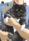 Cat + Crazy Volume 3 cover