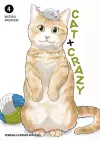 Cat + Crazy Volume 4 cover