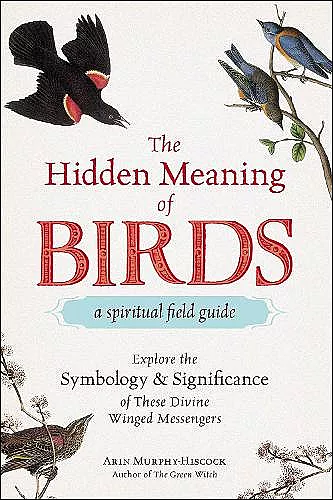 The Hidden Meaning of Birds--A Spiritual Field Guide cover