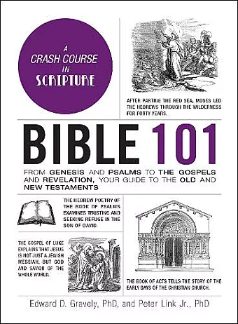 Bible 101 cover