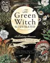 The Green Witch Illustrated cover