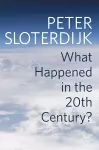 What Happened in the Twentieth Century? cover