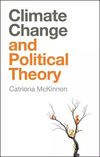 Climate Change and Political Theory cover