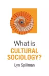 What is Cultural Sociology? cover