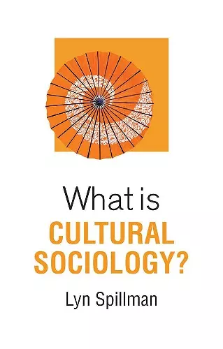 What is Cultural Sociology? cover