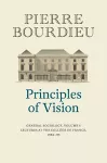 Principles of Vision cover