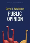 Public Opinion cover