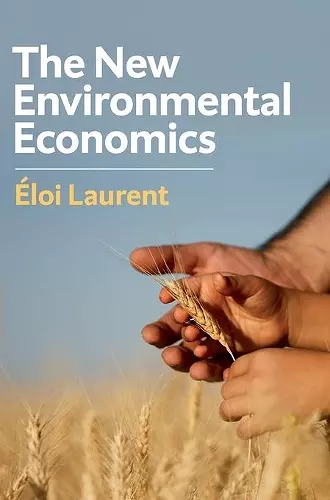 The New Environmental Economics cover