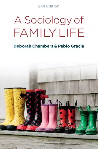 A Sociology of Family Life cover