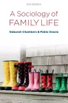 A Sociology of Family Life cover