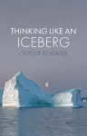 Thinking Like an Iceberg cover