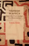 Feminism in Africa cover