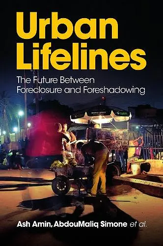 Urban Lifelines cover