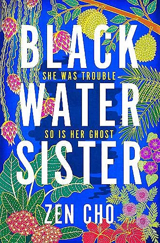Black Water Sister cover