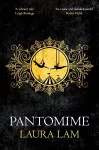 Pantomime cover