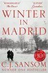 Winter in Madrid cover