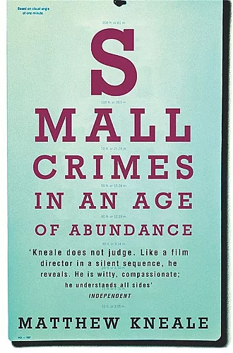 Small Crimes in an Age of Abundance cover