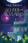 School for Skylarks cover