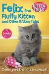 Felix the Fluffy Kitten and Other Kitten Tales cover