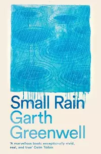 Small Rain cover