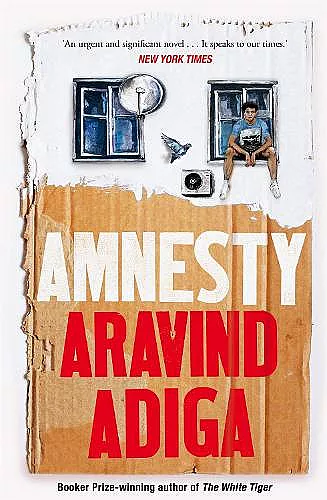 Amnesty cover