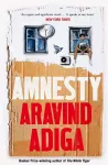 Amnesty cover