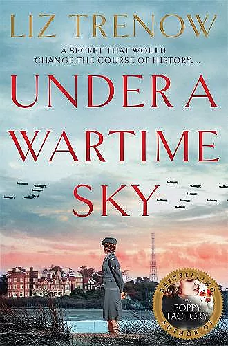 Under a Wartime Sky cover