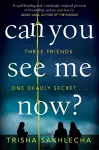 Can You See Me Now? cover