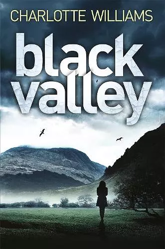 Black Valley cover