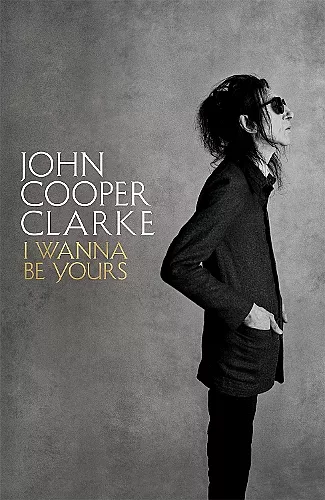 I Wanna Be Yours cover