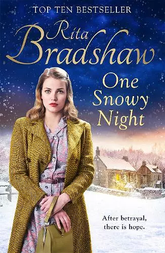 One Snowy Night cover