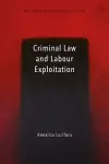 Criminal Law and Labour Exploitation cover