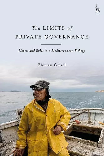 The Limits of Private Governance cover