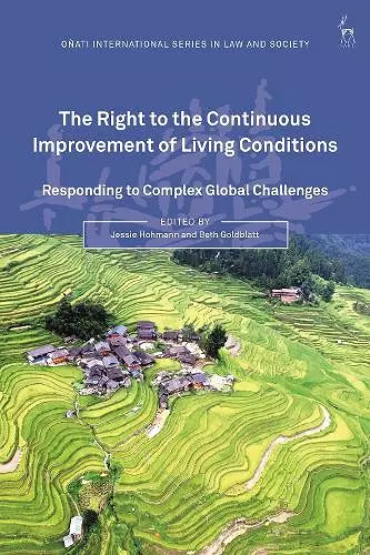 The Right to the Continuous Improvement of Living Conditions cover