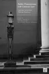 Public Procurement and Contract Law cover