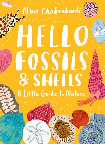 Little Guides to Nature: Hello Fossils and Shells cover