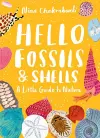 Little Guides to Nature: Hello Fossils and Shells cover
